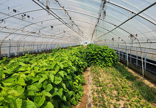 환경제어시스템