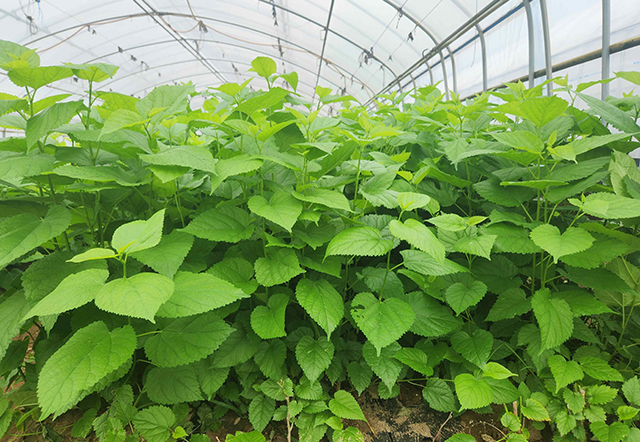 환경제어시스템