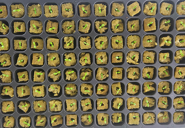 환경제어시스템