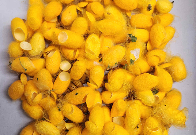 환경제어시스템