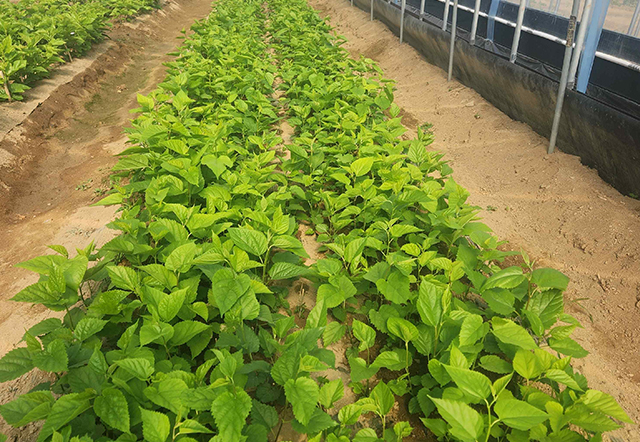 환경제어시스템