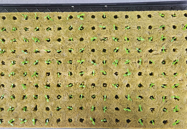 환경제어시스템