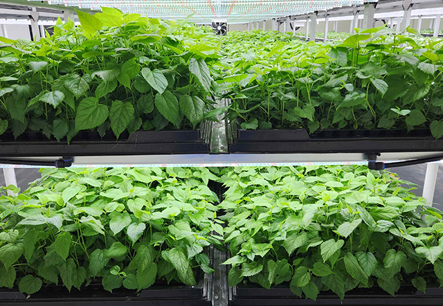 환경제어시스템